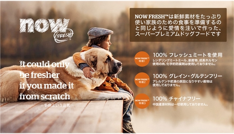 Storee Saison ストーリー セゾン Now Fresh ナウフレッシュ スモールブリード パピー11 34kg ペット