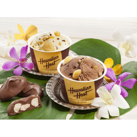 ハワイアンホースト マカデミアナッツチョコアイス 8個セット