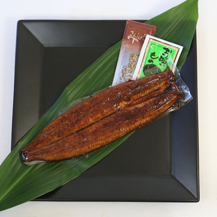 浜名湖謹製うなぎ特大蒲焼　1尾