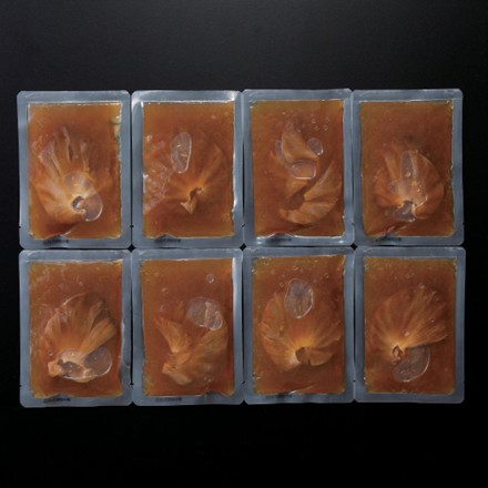 〈東京・日本橋 古樹軒〉ふかひれ姿煮