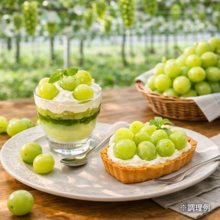 シャインマスカット 2房（1.1ｋｇ）