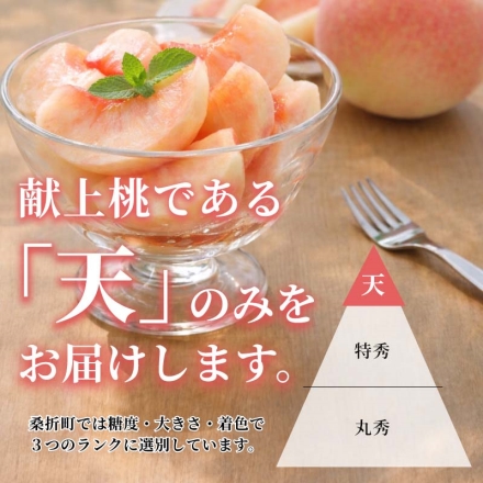 光センサー選別 献上桃の郷 桑折町の桃 1.2ｋｇ （4～5個）