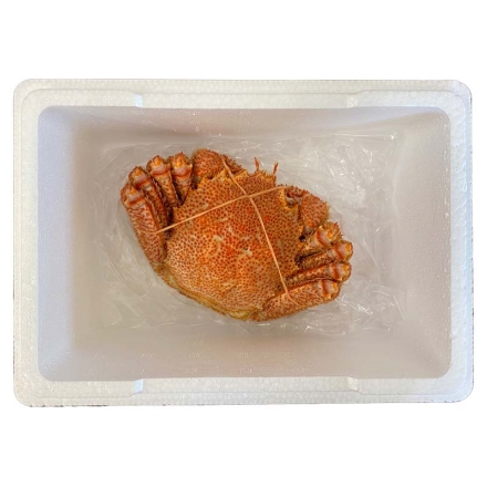 北海道産毛ガニ650ｇ