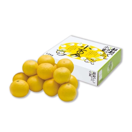 贈答用 夏小夏（ナツコナツ）1.5ｋｇ 送料込み