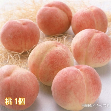 夏の果物9品詰合せ 送料込み
