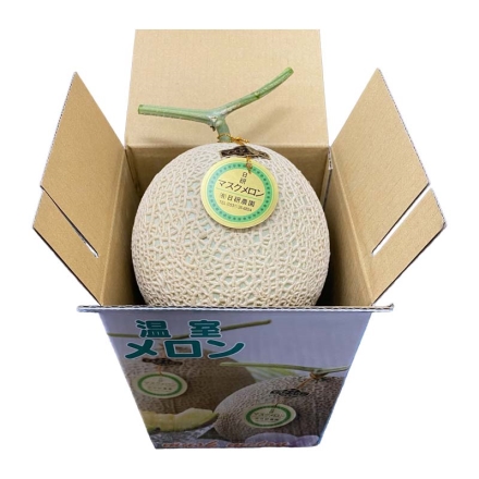 温室マスクメロン1個 送料込み