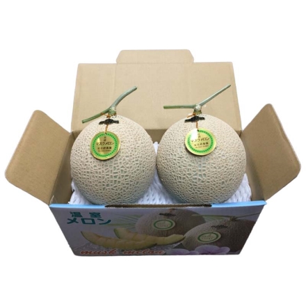 温室マスクメロン2個 送料込み