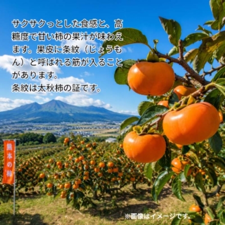 熊本県産 大秋柿1.6ｋｇ（4～8個） 送料込み