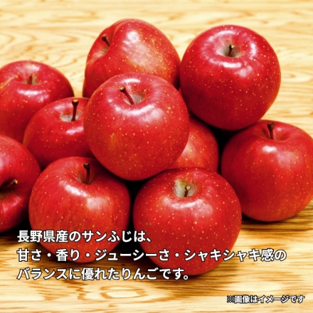 信州産家庭用サンふじ 10ｋｇ