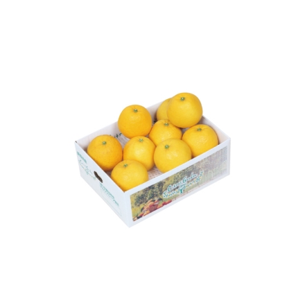 ジューシーゴールド（ご自宅用）2.2ｋｇ