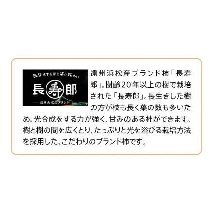 次郎柿「 長寿郎 」ご自宅用 3ｋｇ