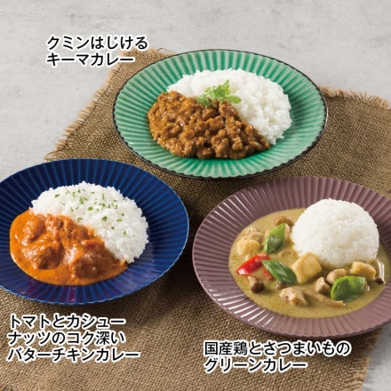 ＴＨＥ ＦＯＯＤ スパイシーカレー3種セット