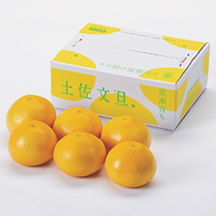 黒潮育ち土佐文旦 贈答用 3kg（2L～4L混：5～6個）、バード皮むき1個付