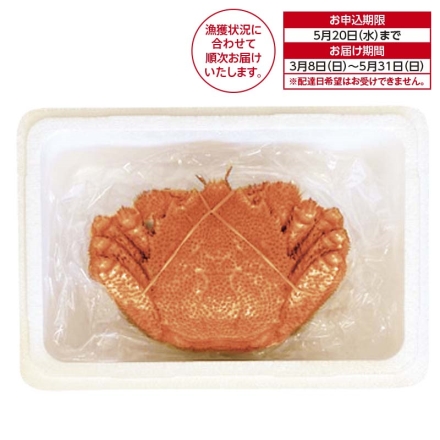 北海道根室からの朝ゆで毛がに 1杯 送料込み