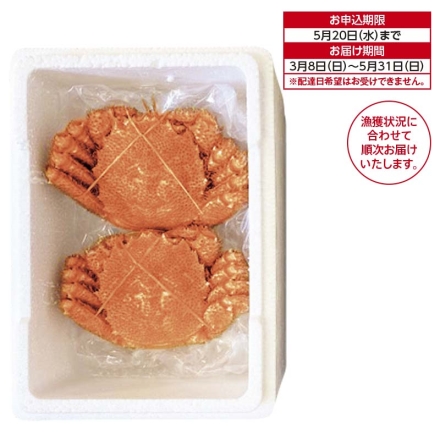 北海道根室からの朝ゆで毛がに 2杯 送料込み