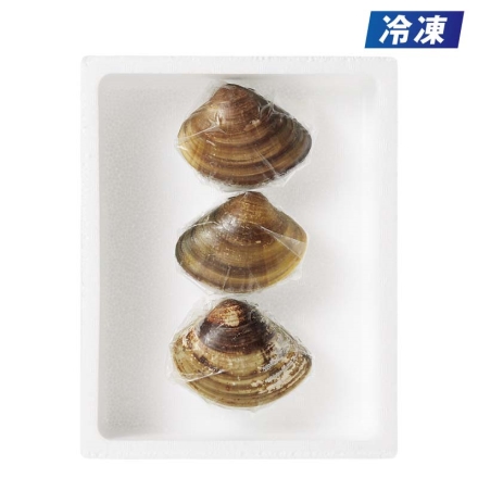 冷凍 愛知三河湾産「 天然特大はまぐり 」150ｇ×3個 送料込み