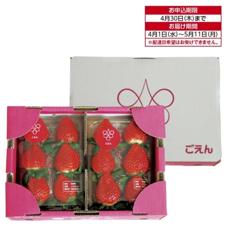 宮城県産 春いちごのアソート（2種） 送料込み