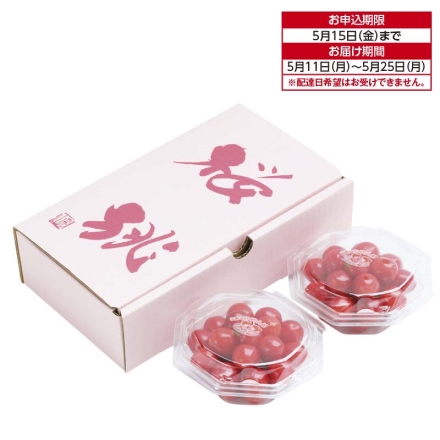 ハウス 山形県産さくらんぼ（佐藤錦又は紅秀峰） 100g×2 佐藤錦は(M、特秀) 紅秀峰は(L、秀) 送料込み