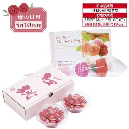 ハウス 山形県産さくらんぼ（佐藤錦） 100g×2(M、特秀)、カーネーション（造花）・カード付 送料込み