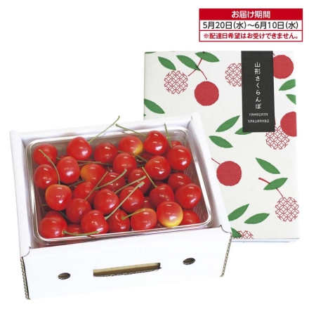 ハウス ちょい早！山形さくらんぼ 500ｇ（L～2L混、秀：バラ詰） 送料込み