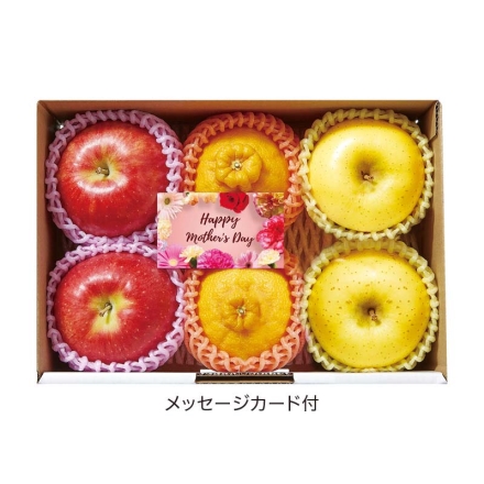 母の日 フルーツセット ふじ・不知火・シナノゴールド 各270g×2 母の日 送料込み