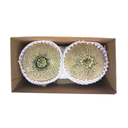 赤肉メロン 1.8kg（2個） 母の日 送料込み