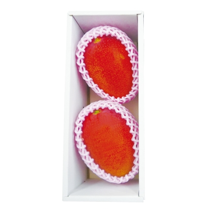 宮崎県産 完熟マンゴー 600g（2個） 母の日 送料込み