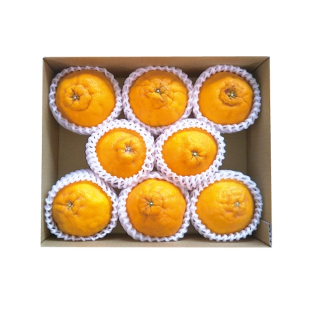 デコポン 2kg （7～10個） 母の日 送料込み