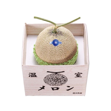 お歳暮のし付き マスクメロン1個