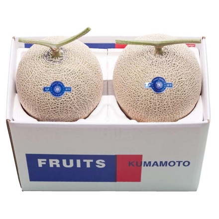 お歳暮のし付き マスクメロン2個