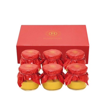 お歳暮のし付き ＜銀座京橋 レ ロジェ エギュスキロール＞銀座マンゴープリン 90g×6