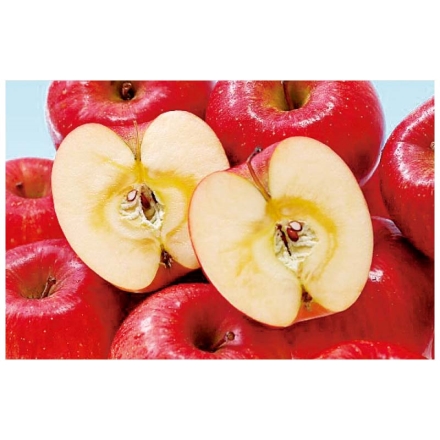 お歳暮のし付き （糖度17度以上選果）蜜入りサンふじ 4kg（9～13個）