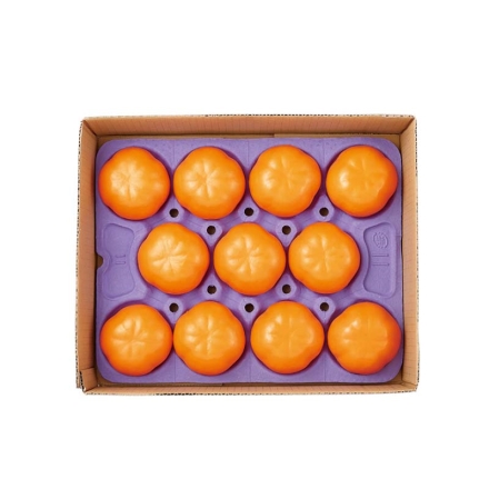 お歳暮のし付き 和歌山県産 富有柿 3kg（10～11個）