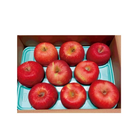 蜜入りサンふじ（ご自宅用） 2.5kg（7～10個）