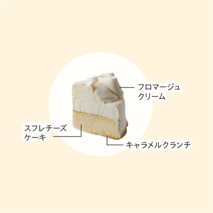 冷凍 ＜岩瀬牧場＞クリスマスチーズケーキ 1個