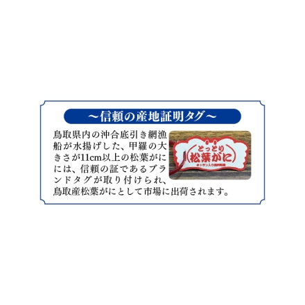 鳥取県産 朝ゆで松葉がに 1杯