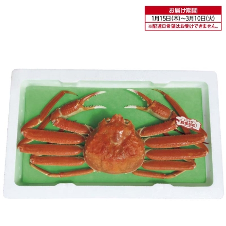 鳥取県産 松葉がに（朝茹で）Ｂ 700ｇ