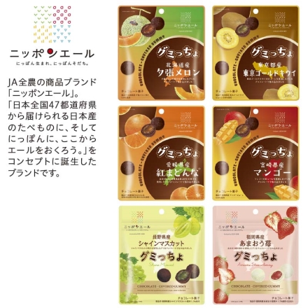 ＜ニッポンエール＞グミっちょ6種詰合せ