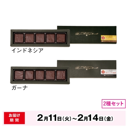 2月11日～2月14日の間にお届け バレンタイン 世界を変えるカカオ 生チョコレート 2種×5個