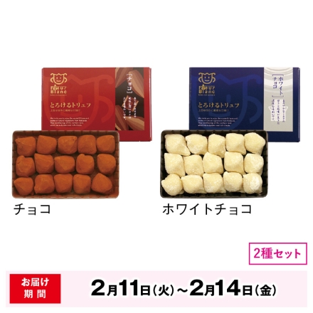 2月11日～2月14日の間にお届け バレンタイン ＜フルールブラン＞とろけるトリュフ チョコ チョコレート 2種×15個