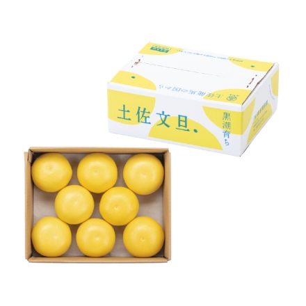 家庭用 土佐文旦4ｋｇ