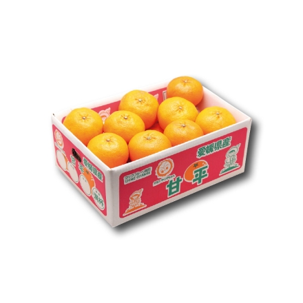 家庭用 甘平4ｋｇ