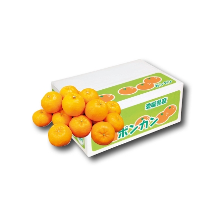 家庭用 ポンカン4.5ｋｇ