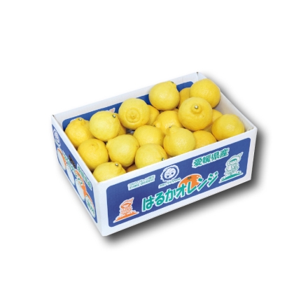 家庭用 はるか4.5ｋｇ