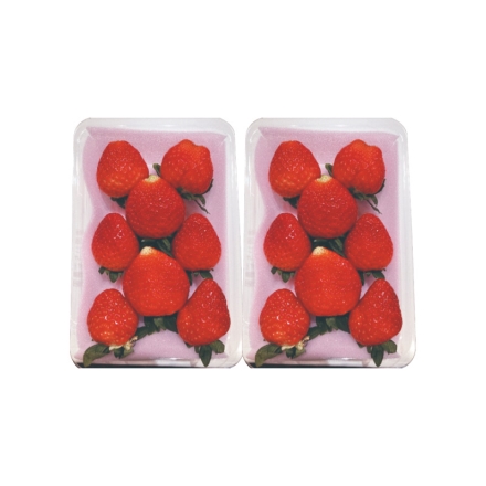 家庭用 ふぞろい朝摘みスカイベリー 290g×2