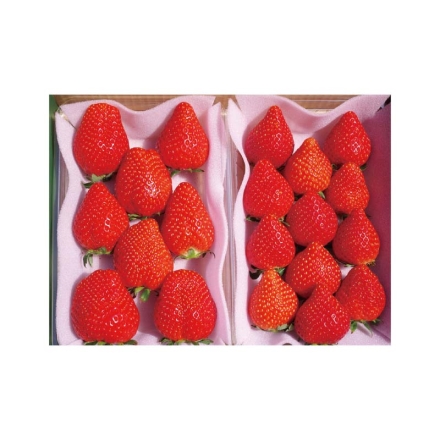 スカイベリー＆とちあいか 食べ比べセット スカイベリー・とちあいか 各280g