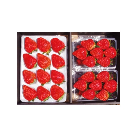 栃木のいちご3品種 食べ比べセット