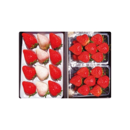 栃木のいちご4品種 食べ比べセット