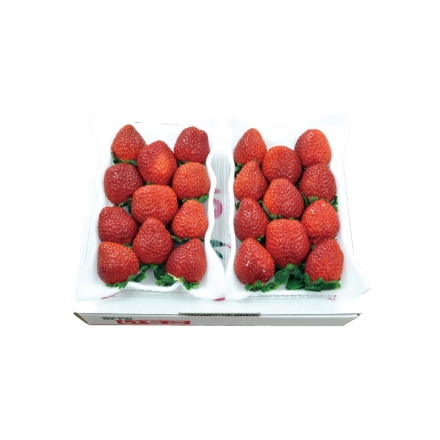 紅ほっぺいちご520ｇ