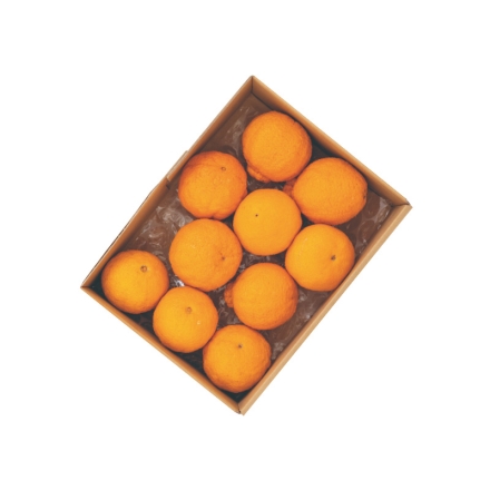 糖度14度以上選果 高糖度不知火濃媛（こいひめ）2ｋｇ